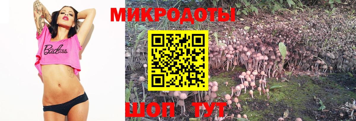 Псилоцибиновые грибы MAGIC MUSHROOMS Заринск