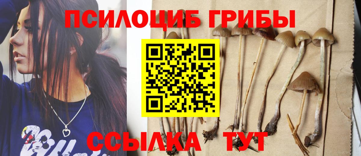 Заринск  Галлюциногенные грибы Psilocybe  Псилоцибиновые грибы Psilocybe  Вход с VPN 